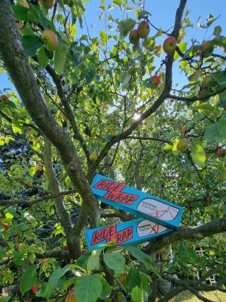 🎉 SOUTĚŽ O OCHRANNÉ FÓLIE NA KOLO! 🚴‍♂️ Peníze nerostou na stromě! Ochranné fólie RideWrap od Bikeshield ale ano!!! Chceš...